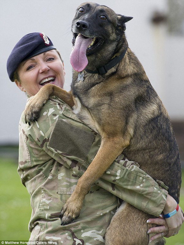 Vidar saved the lives of his comrades as a bomb hunting dog. In April of 2012, he even saved the life of his new owner by discovering a huge cache of Taliban weapons.